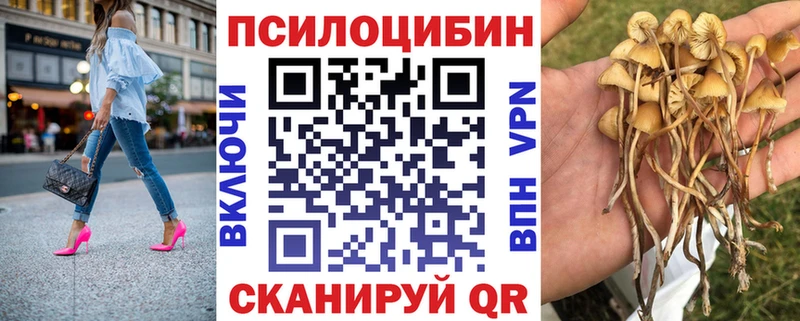 Галлюциногенные грибы MAGIC MUSHROOMS  ОМГ ОМГ ТОР  Кинешма  наркота 